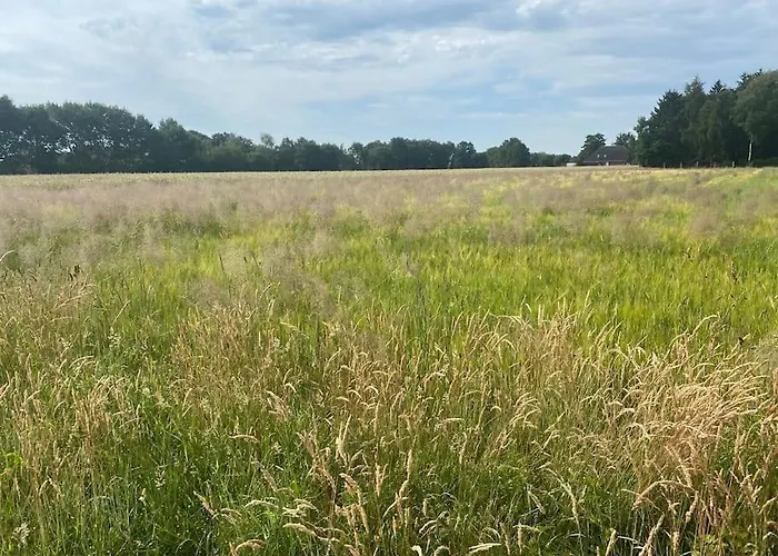 Kunst Und Natur In *