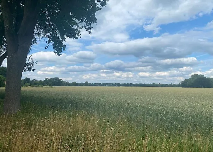 Apartamento Kunst Und Natur In Worpswede